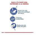 Alimento Royal Canin Feline Health Nutrition Indoor 27 Para Gato Adulto Todos Los Tamaños Sabor Mezcla