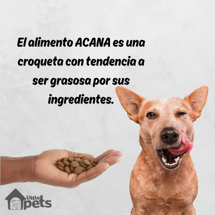 Acana Meadowlands Para Gatos 1.8kg