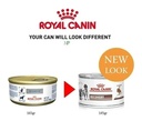 Royal Canin Recovery 145g Alimento Veterinary Diet Para Perro/gato Adulto Todos Los Tamaños
