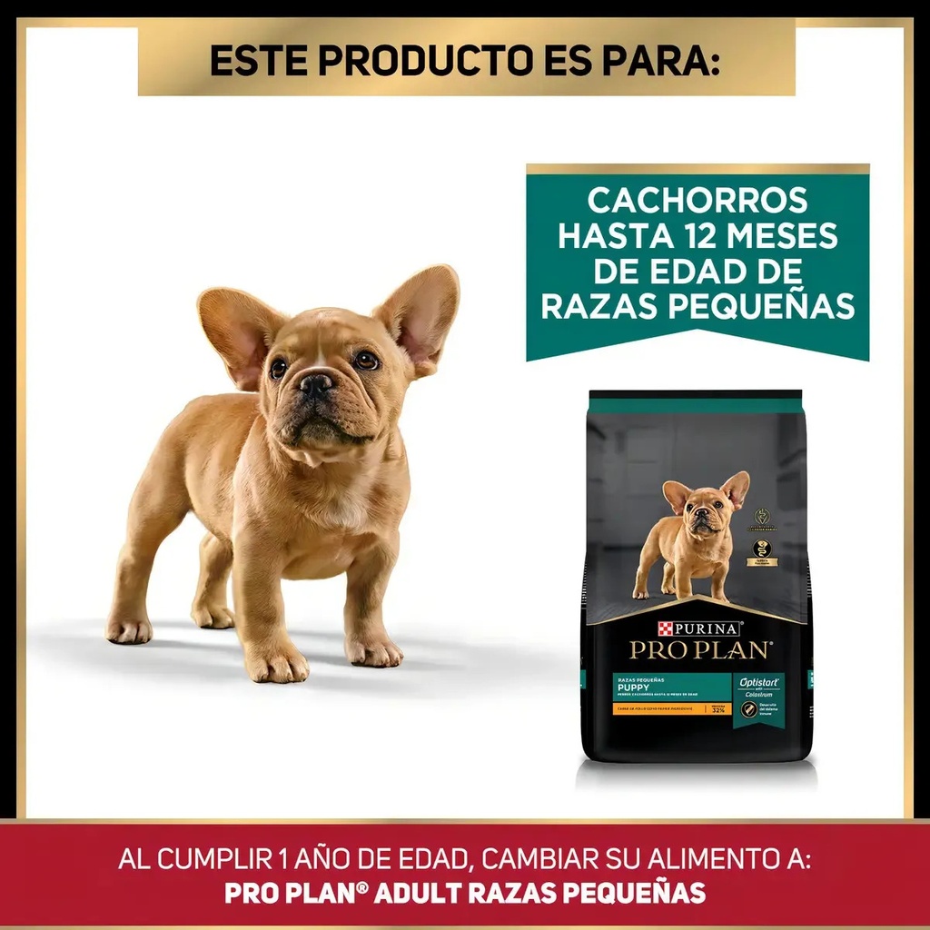 Alimento Pro Plan Cachorro De Raza Pequeña Sabor Pollo