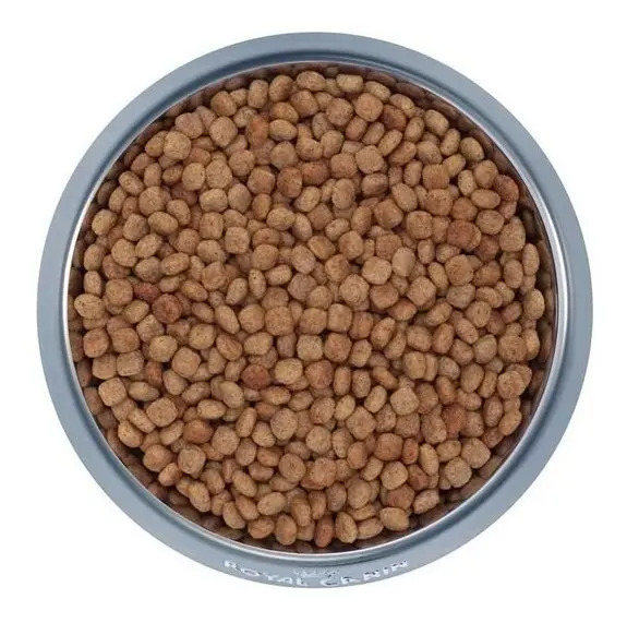 Alimento Royal Canin Veterinary Diet Canine Gastrointestinal Para Perro Adulto Los Tamaños Sabor Mix De 10 Kg