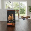 Pro Plan Sensitive Skin Perro Adult Raza Med Gde Salmón 12kg