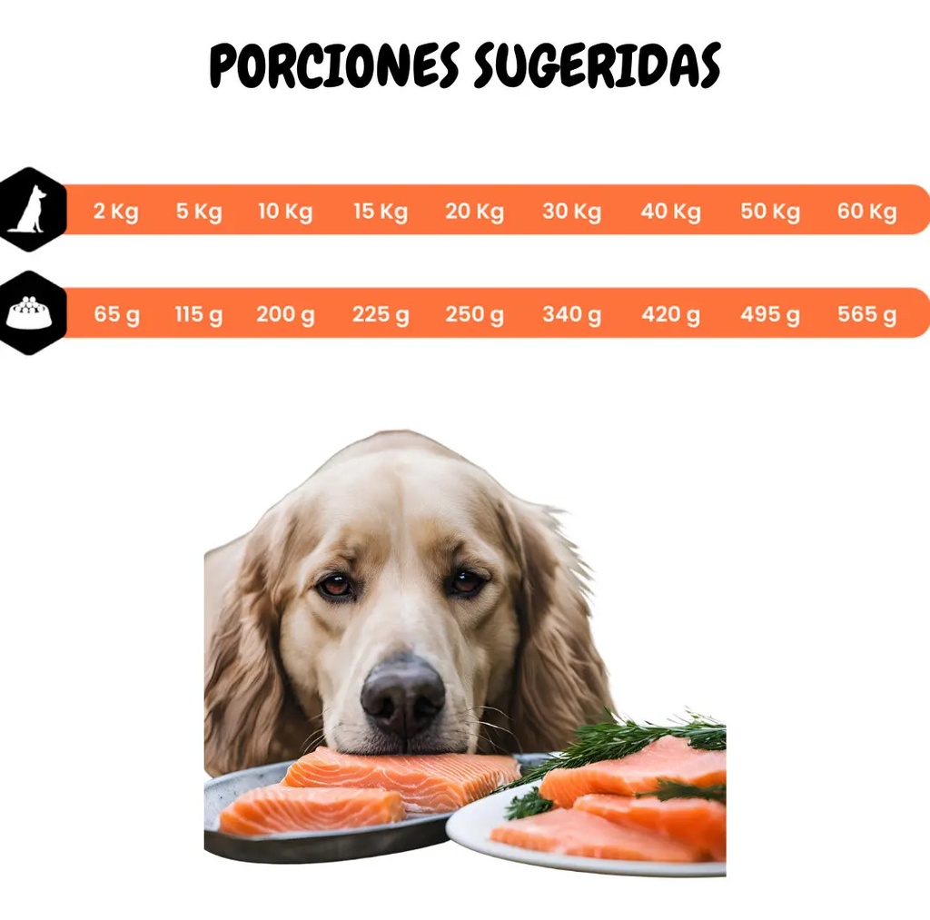 Alimento Perro Adulto Amity Low Grain Salmón 14 Kg.