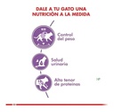 Alimento Royal Canin Gato Esterilizado 4 Kg