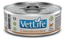 VET LIFE Convalescence Cat Lata