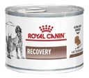 Royal Canin Recovery 145g Alimento Veterinary Diet Para Perro/gato Adulto Todos Los Tamaños