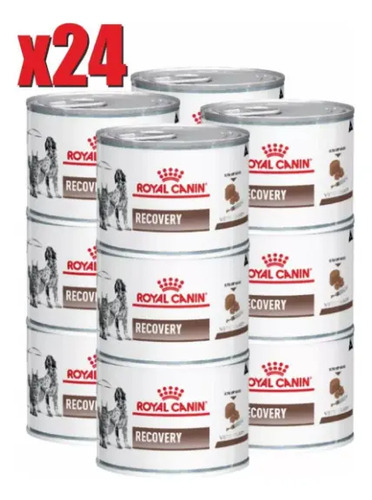 24 Latas Recovery Royal Canin 145g