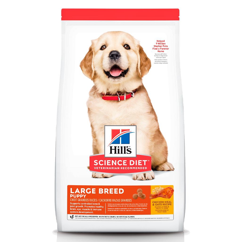 HILLS PUPPY LARGE BREED 
